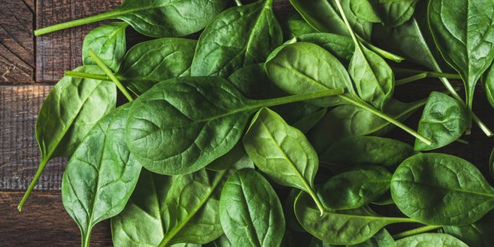 Alzheimer : les aliments riches en vitamine B9 vous protègent