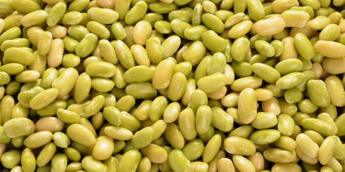 9 aliments en conserve bons pour la santé