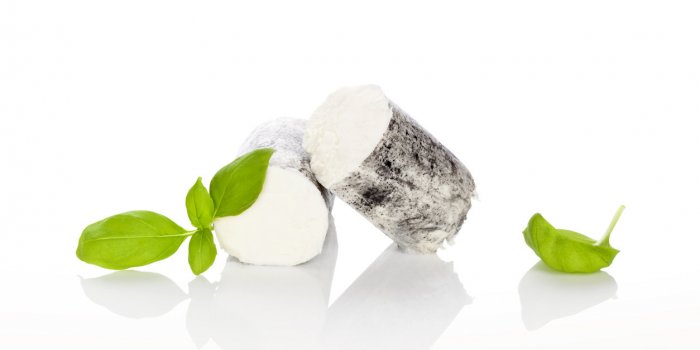 12 aliments indispensables pour un bon petit déjeuner salé
