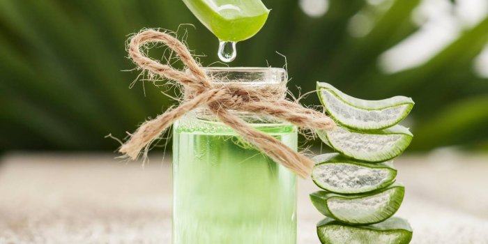 Jus dâaloe vera : 6 bienfaits pour votre organisme