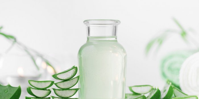Jus dâaloe vera : 6 bienfaits pour votre organisme