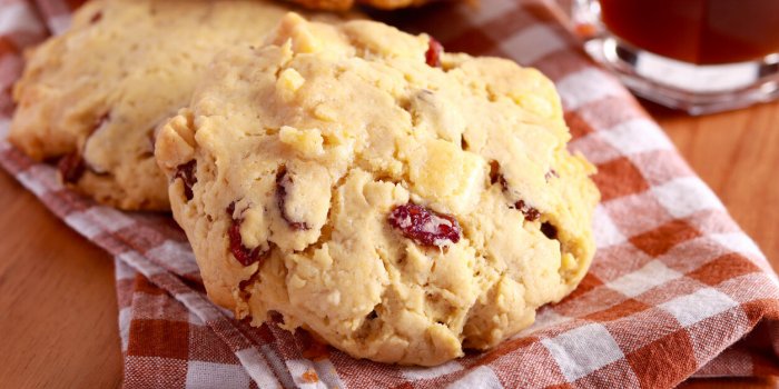 7 recettes avec du cranberry contre les infections urinaires