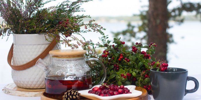 7 recettes avec du cranberry contre les infections urinaires