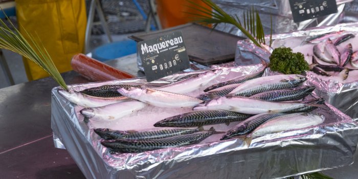 Poisson et mercure, carrefour épinglé par les associations, faut-il encore acheter du poisson au supermarché ?