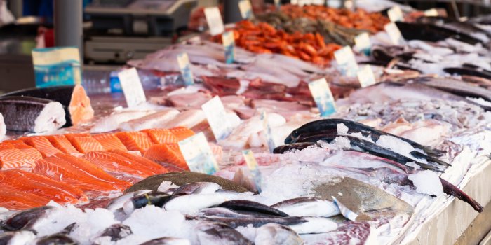 Poisson et mercure, carrefour épinglé par les associations, faut-il encore acheter du poisson au supermarché ?