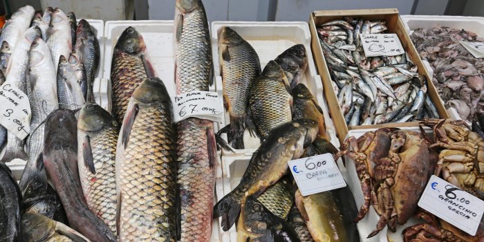 Poisson et mercure, carrefour épinglé par les associations, faut-il encore acheter du poisson au supermarché ?