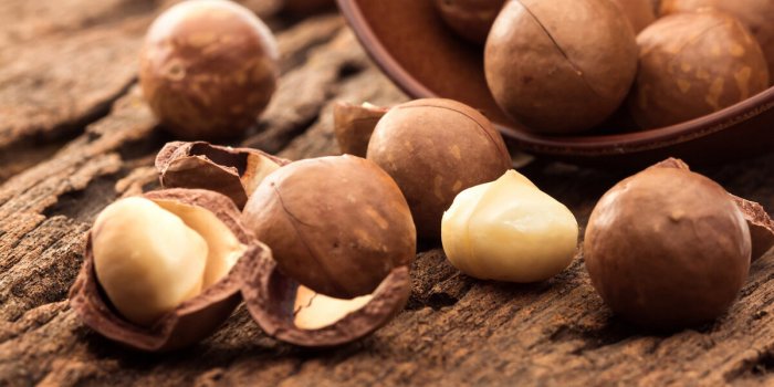 Les 8 noix les plus saines Ã  consommer