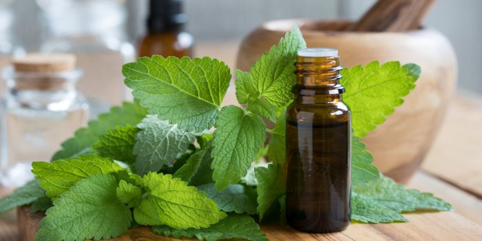 7 huiles essentielles d'une scientifique pour prÃ©venir le retour de la grippe !