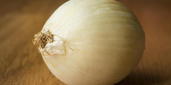 Réponse : l"oignon