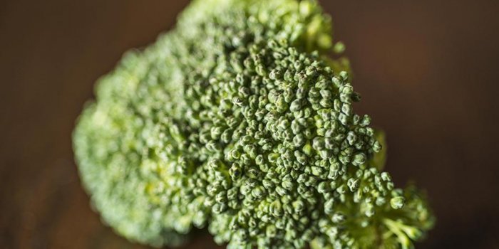 Réponse : le brocoli