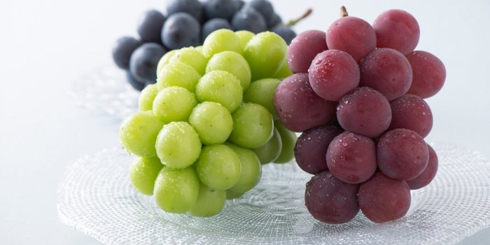 Perte de poids : les fruits et légumes de septembre à mettre dans lâassiette
