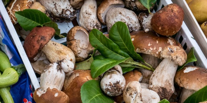 Perte de poids : les fruits et légumes de septembre à mettre dans lâassiette