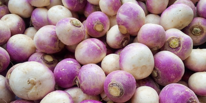 Perte de poids : les fruits et légumes de septembre à mettre dans lâassiette