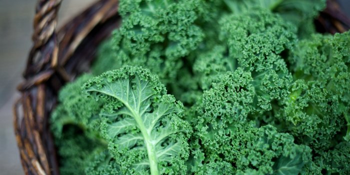 8 lÃ©gumes feuilles ultra bÃ©nÃ©fiques pour la santÃ©