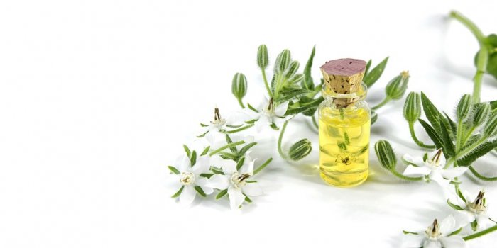 Fleurs de Bach : 5 élixirs pour calmer les angoisses