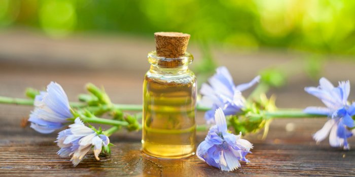 Fleurs de Bach : 5 élixirs pour calmer les angoisses