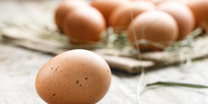 Perte de poids : 6 conseils pour avoir moins faim au quotidien