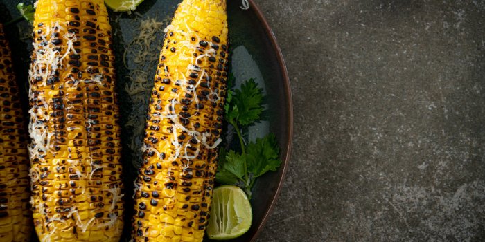 Perte de poids : 7 aliments dâété qui ruinent vos objectifs