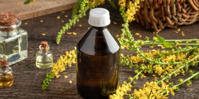 15 plantes qui favorisent la constipation