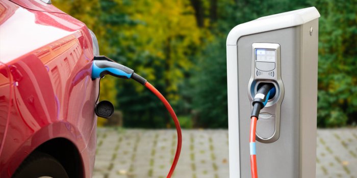 Huile de palme : ces produits inattendus qui en contiennent