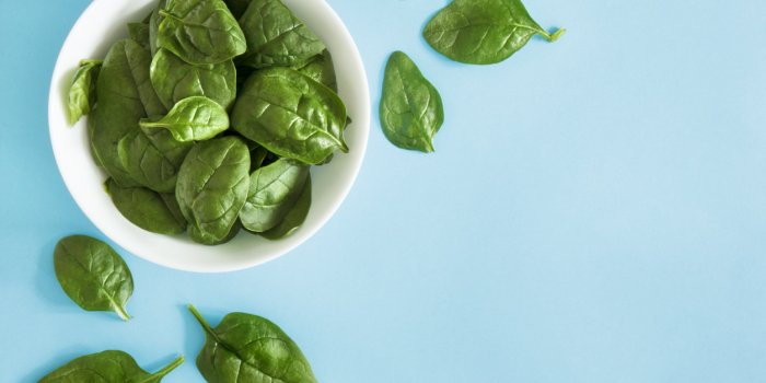 Hypertension : misez sur les aliments riches en flavanols 