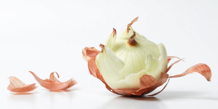 Hypertension : misez sur les aliments riches en flavanols 