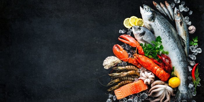 Somnolence au volant : quels aliments privilégier pour rester éveillé ?