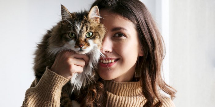 Voici les 5 races de chats les plus zens