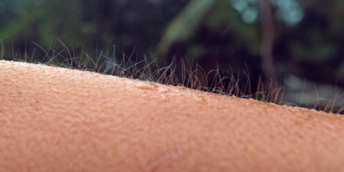 Carence en vitamine C : les 15 symptômes dâalerte
