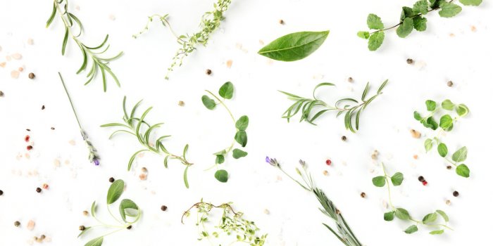 Les 30 aliments les moins caloriques