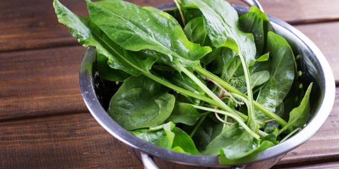 Migraine : un régime à base de légumes feuilles aiderait à les soulager