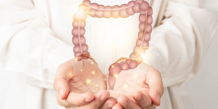 7 raisons santÃ© de manger de la choucroute