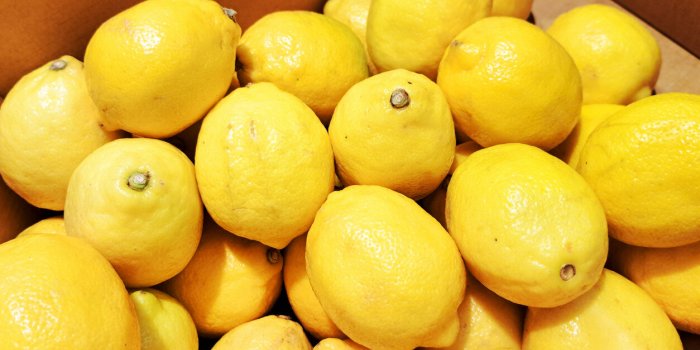 7 aliments détox à adopter avant le printemps