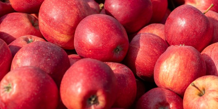 7 aliments détox à adopter avant le printemps