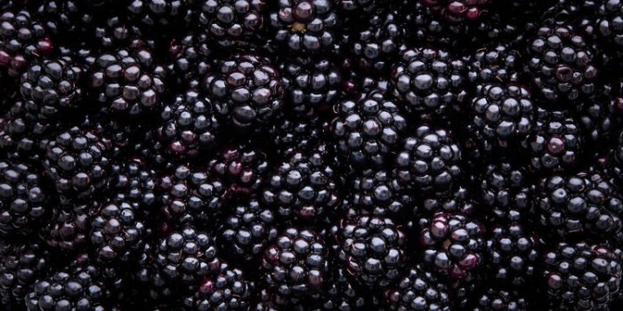 Hypertension : le jus de ce fruit japonais fait des miracles