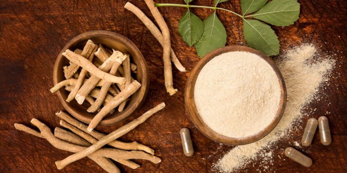 8 tisanes anti-stress pour la rentrÃ©e