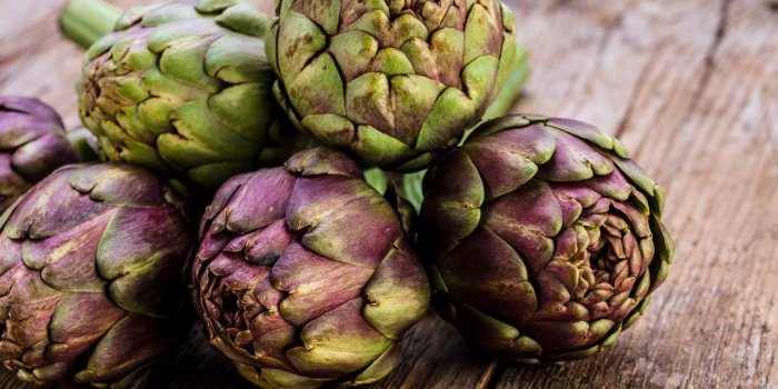 DÃ©tox : 5 plantes pour nettoyer son foie au printemps