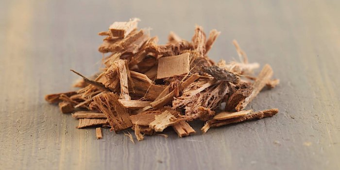 DÃ©tox : 5 plantes pour nettoyer son foie au printemps