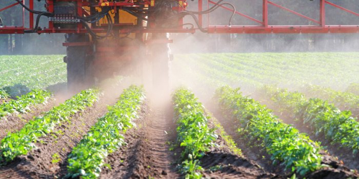 Ces 7 choses que vous ignorez sur la salade en sachet