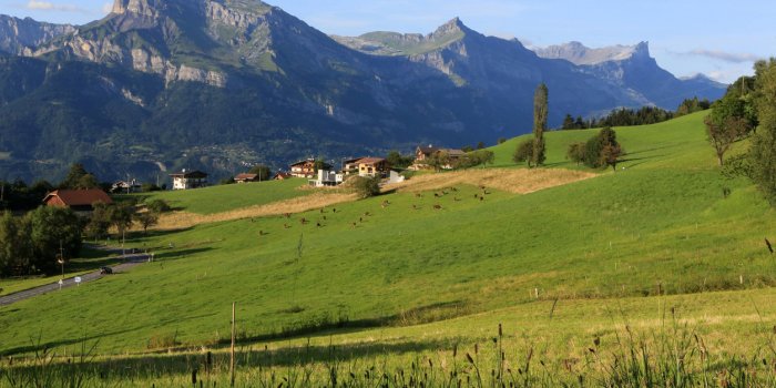 Covid-19 : les départements où les urgences sont saturées