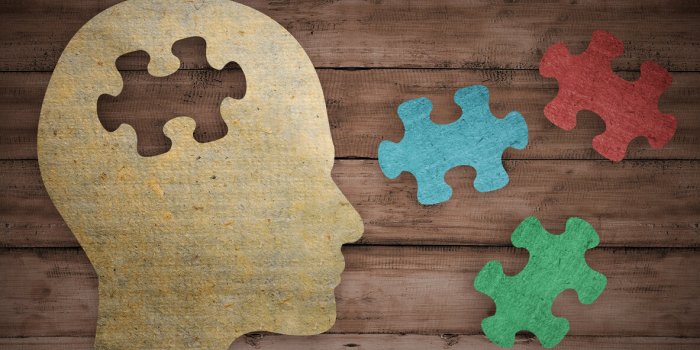 Il existe 8 formes d'intelligence selon ce psychologue de Harvard