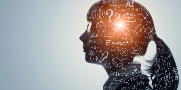 Il existe 8 formes d'intelligence selon ce psychologue de Harvard