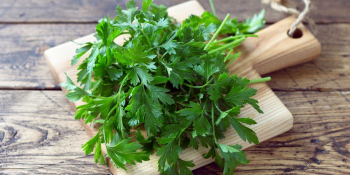 Cystite (infection urinaire) : 7 aliments à adopter pour lâéviter
