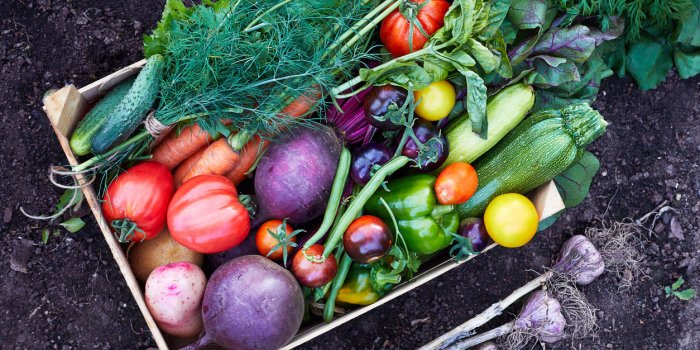 Cystite (infection urinaire) : 7 aliments à adopter pour lâéviter