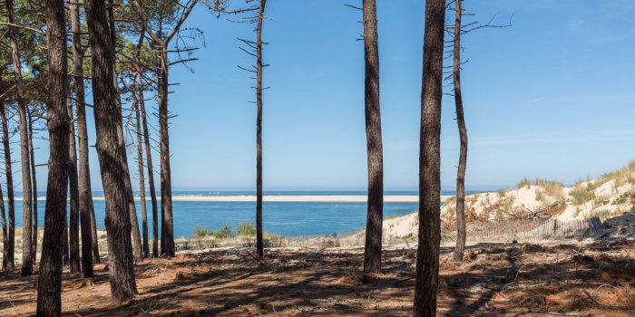 the beach petit nice, in front of the arguin sandbank and close to the dune of pilat