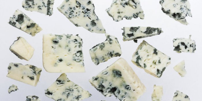 Camembert, burrata, roquefortâ¦ : florilÃ¨ge des fromages potentiellement cancÃ©rigÃ¨nes