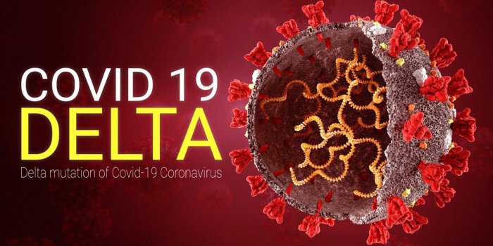 Covid-19 : les 5 variants les plus prÃ©occupants selon SantÃ© Publique France