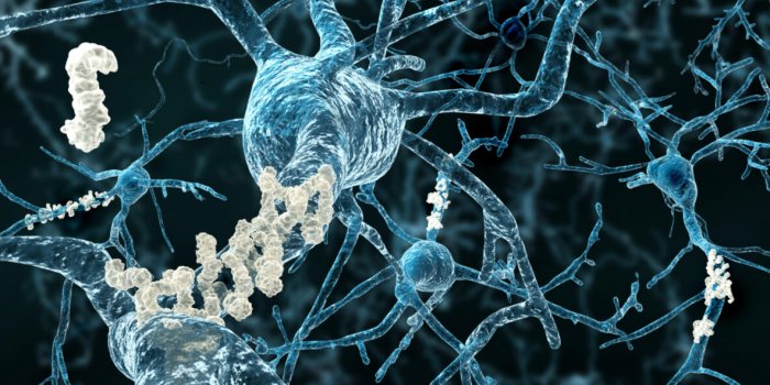 Les 7 bienfaits santé de l'ail pour les plus de 50 ans !Â