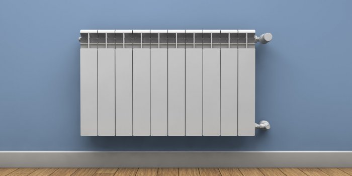 Comment dégager naturellement vos bronches ?