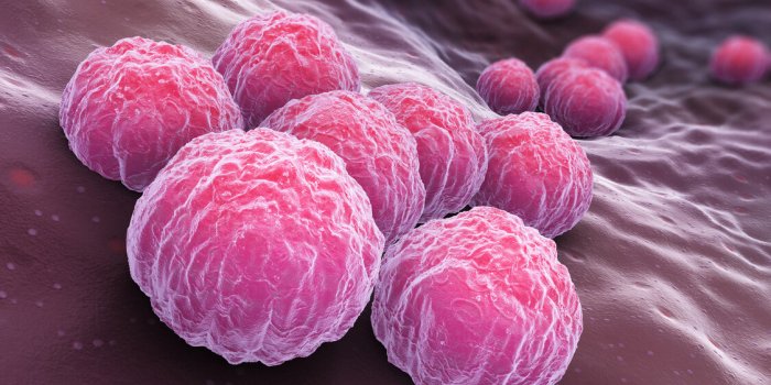 Sexe après 60 ans : les 5 dangers principaux